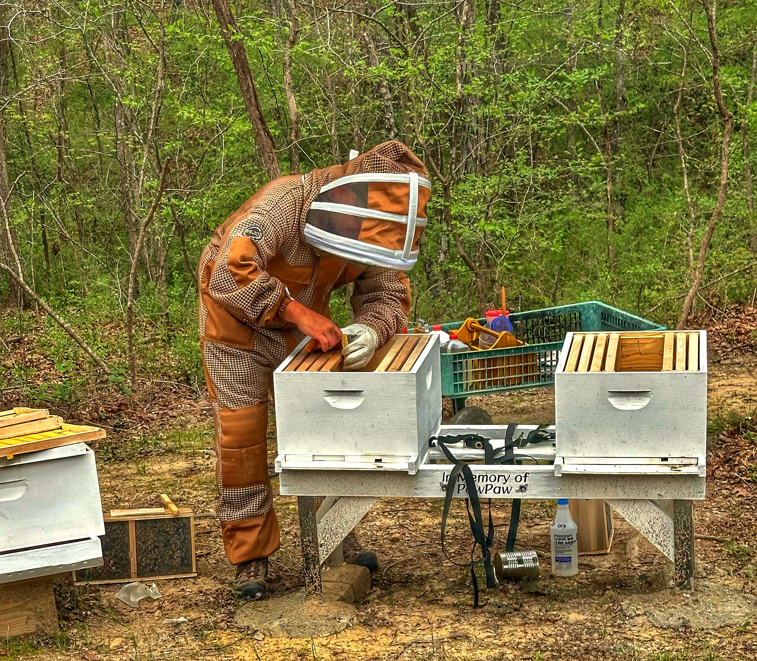 Package install day at the Bootstrap Beekeeping apiary