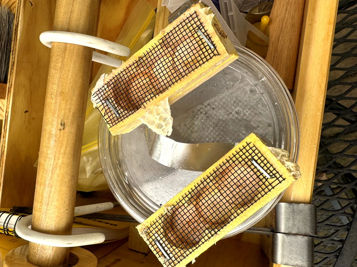 Alcohol wash cups and equipment