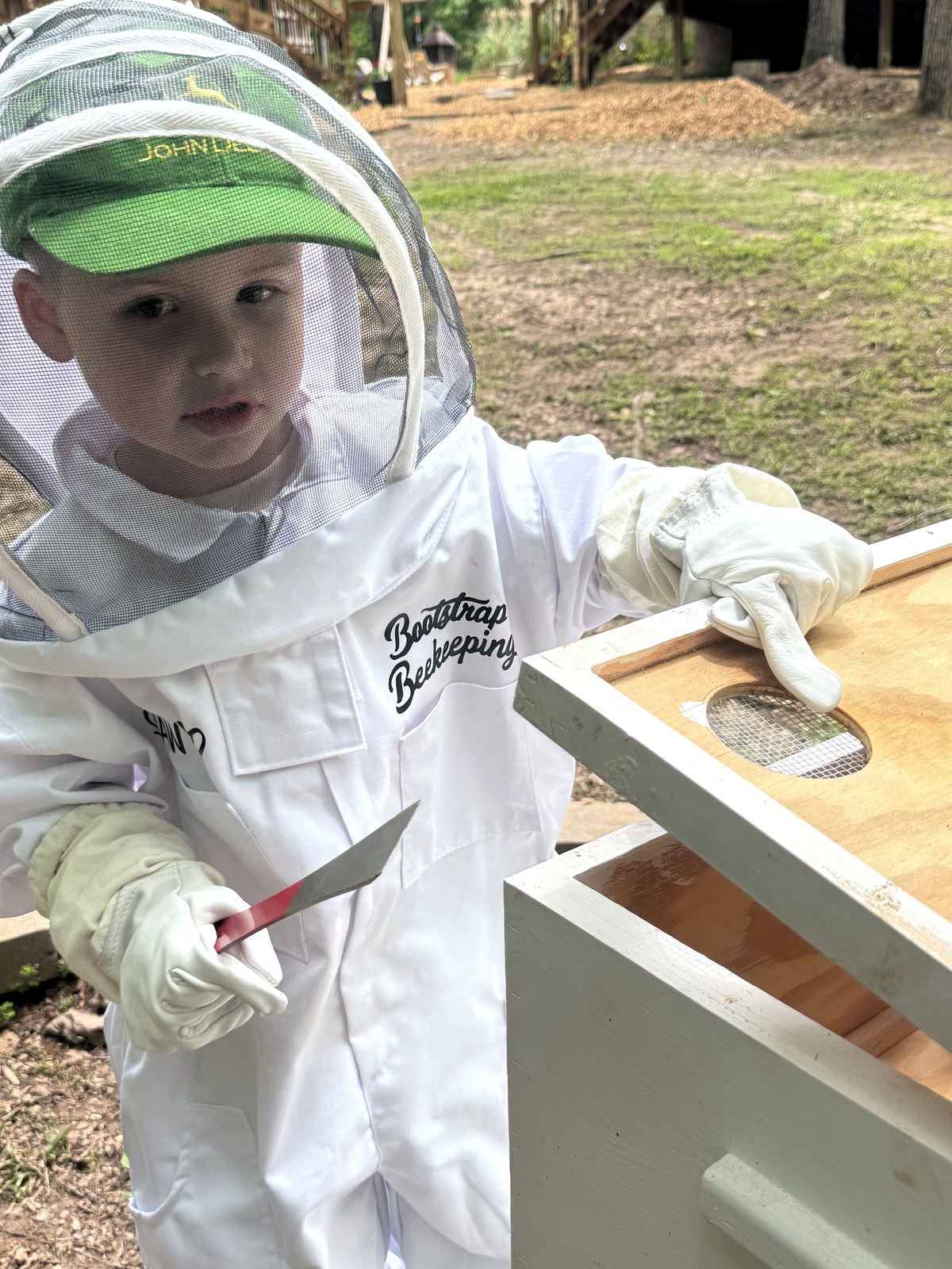 Sawyer watching the hive entrance with hive tool in hand