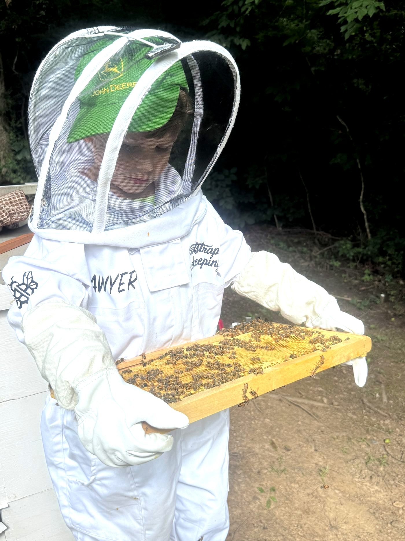 Sawyer in his beekeeping suit studying a honeybee frame at the Bootstrap Beekeeping apiary in Cherokee County Alabama