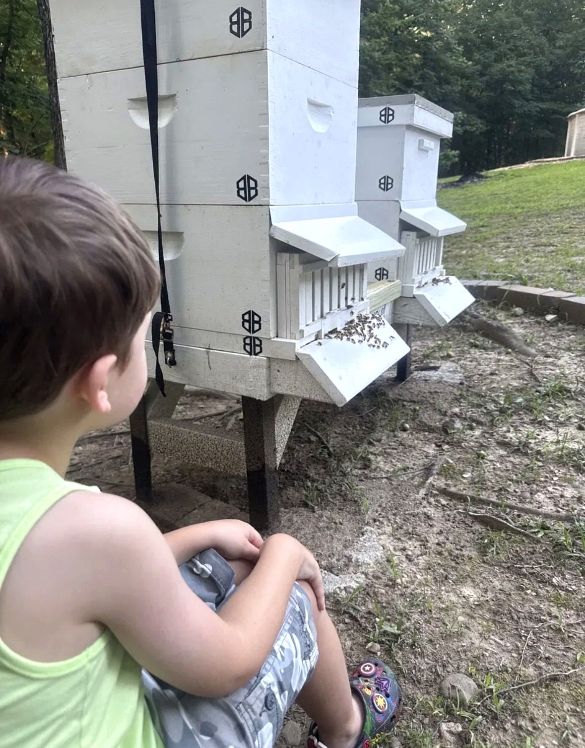 Sawyer sitting in the dirt in front of the Bootstrap Beekeeping hives at the end of the day without a suit on watching the bees